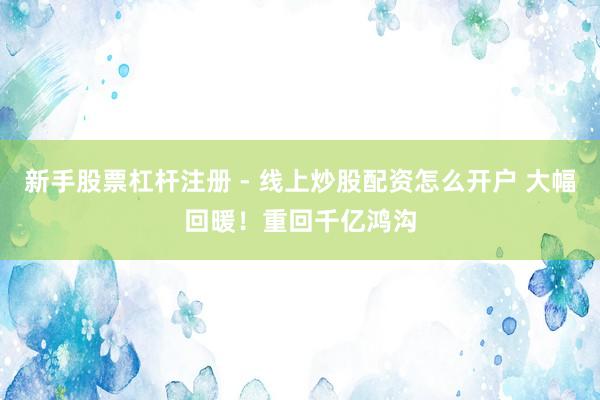 新手股票杠杆注册 - 线上炒股配资怎么开户 大幅回暖！重回千亿鸿沟