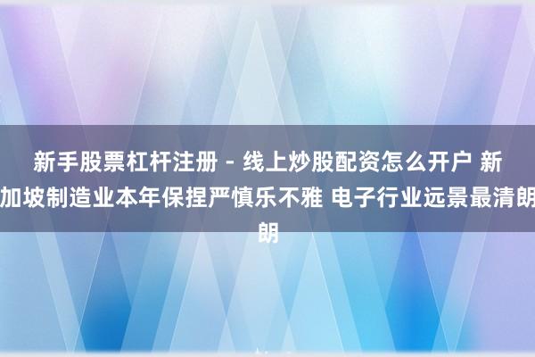 新手股票杠杆注册 - 线上炒股配资怎么开户 新加坡制造业本年保捏严慎乐不雅 电子行业远景最清朗