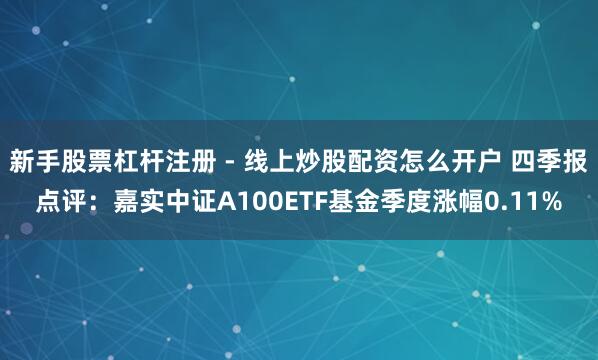 新手股票杠杆注册 - 线上炒股配资怎么开户 四季报点评：嘉实中证A100ETF基金季度涨幅0.11%