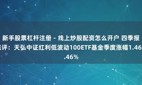 新手股票杠杆注册 - 线上炒股配资怎么开户 四季报点评：天弘中证红利低波动100ETF基金季度涨幅1.46%