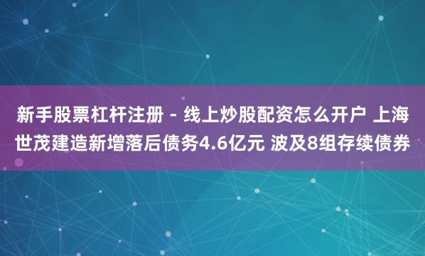 新手股票杠杆注册 - 线上炒股配资怎么开户 上海世茂建造新增落后债务4.6亿元 波及8组存续债券