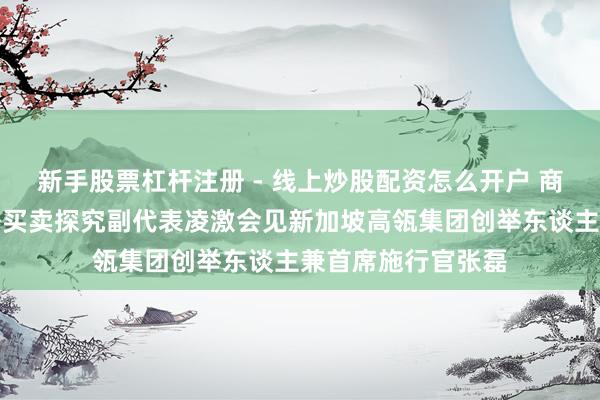 新手股票杠杆注册 - 线上炒股配资怎么开户 商务部副部长兼海外买卖探究副代表凌激会见新加坡高瓴集团创举东谈主兼首席施行官张磊