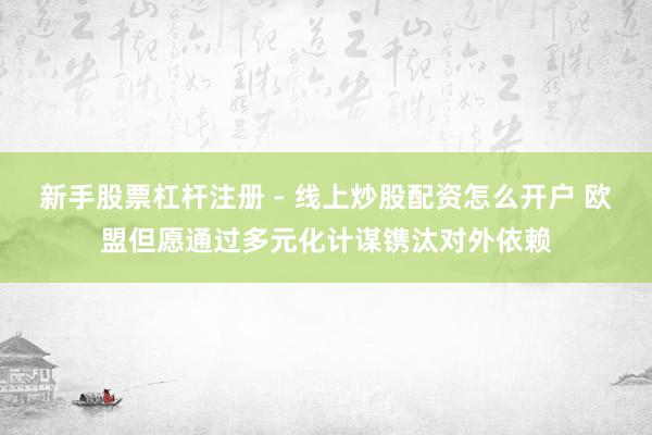 新手股票杠杆注册 - 线上炒股配资怎么开户 欧盟但愿通过多元化计谋镌汰对外依赖