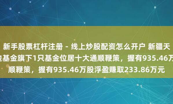 新手股票杠杆注册 - 线上炒股配资怎么开户 新疆天业股价涨5.03%，南边基金旗下1只基金位居十大通顺鞭策，握有935.46万股浮盈赚取233.86万元