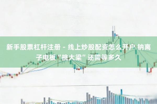 新手股票杠杆注册 - 线上炒股配资怎么开户 钠离子电板“挑大梁”还需等多久