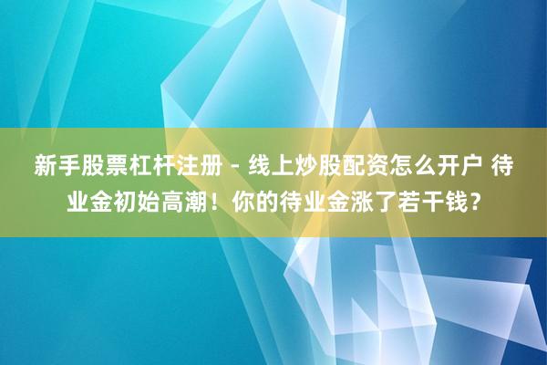 新手股票杠杆注册 - 线上炒股配资怎么开户 待业金初始高潮！你的待业金涨了若干钱？