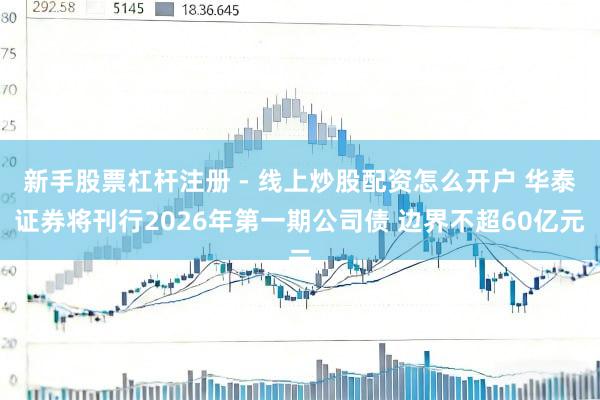 新手股票杠杆注册 - 线上炒股配资怎么开户 华泰证券将刊行2026年第一期公司债 边界不超60亿元