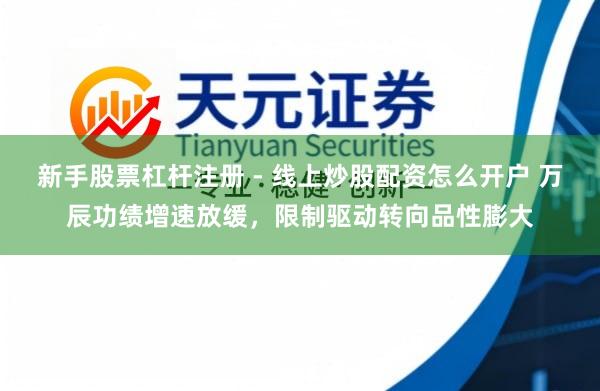 新手股票杠杆注册 - 线上炒股配资怎么开户 万辰功绩增速放缓，限制驱动转向品性膨大