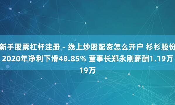 新手股票杠杆注册 - 线上炒股配资怎么开户 杉杉股份2020年净利下滑48.85% 董事长郑永刚薪酬1.19万
