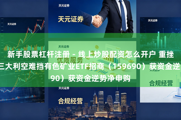 新手股票杠杆注册 - 线上炒股配资怎么开户 重挫逾8%！三大利空难挡有色矿业ETF招商（159690）获资金逆势净申购