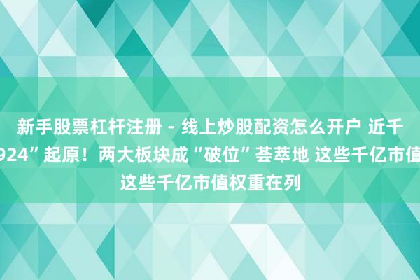 新手股票杠杆注册 - 线上炒股配资怎么开户 近千股跌破“924”起原！两大板块成“破位”荟萃地 这些千亿市值权重在列