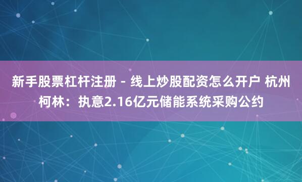 新手股票杠杆注册 - 线上炒股配资怎么开户 杭州柯林：执意2.16亿元储能系统采购公约